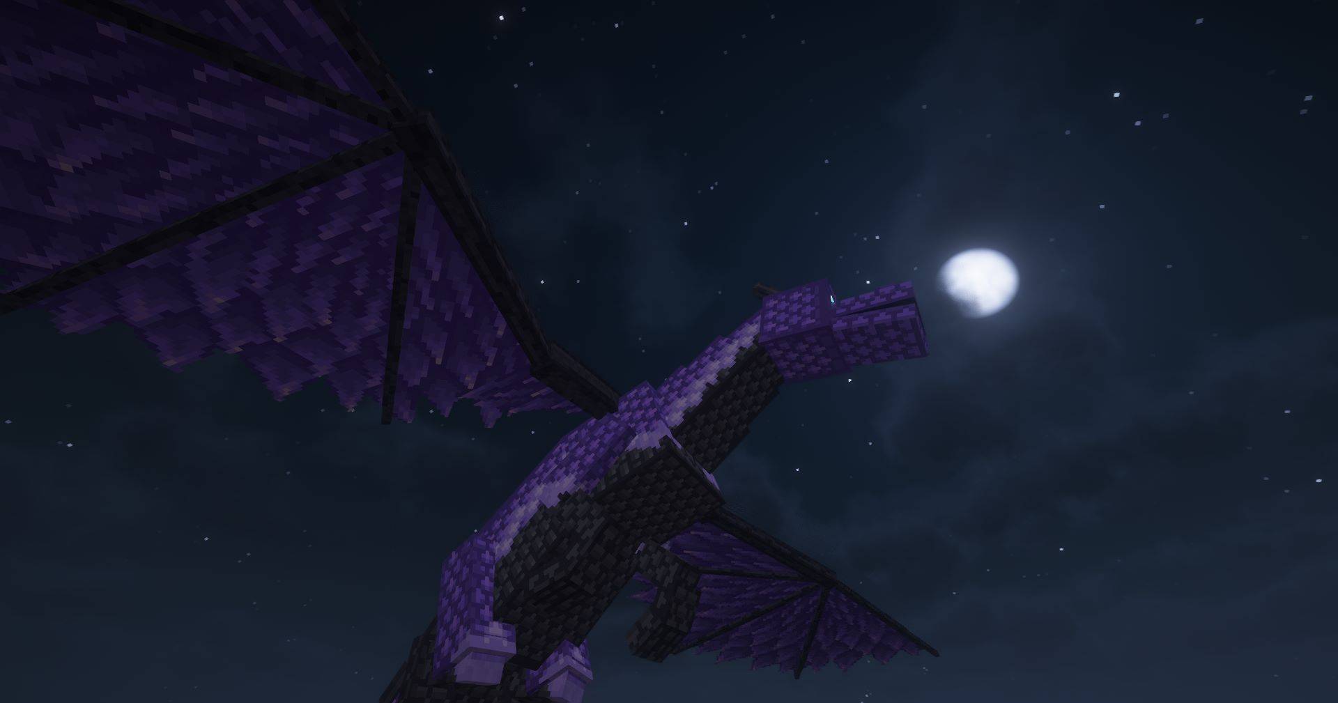 翱翔于 majestic 龙之上.jpg