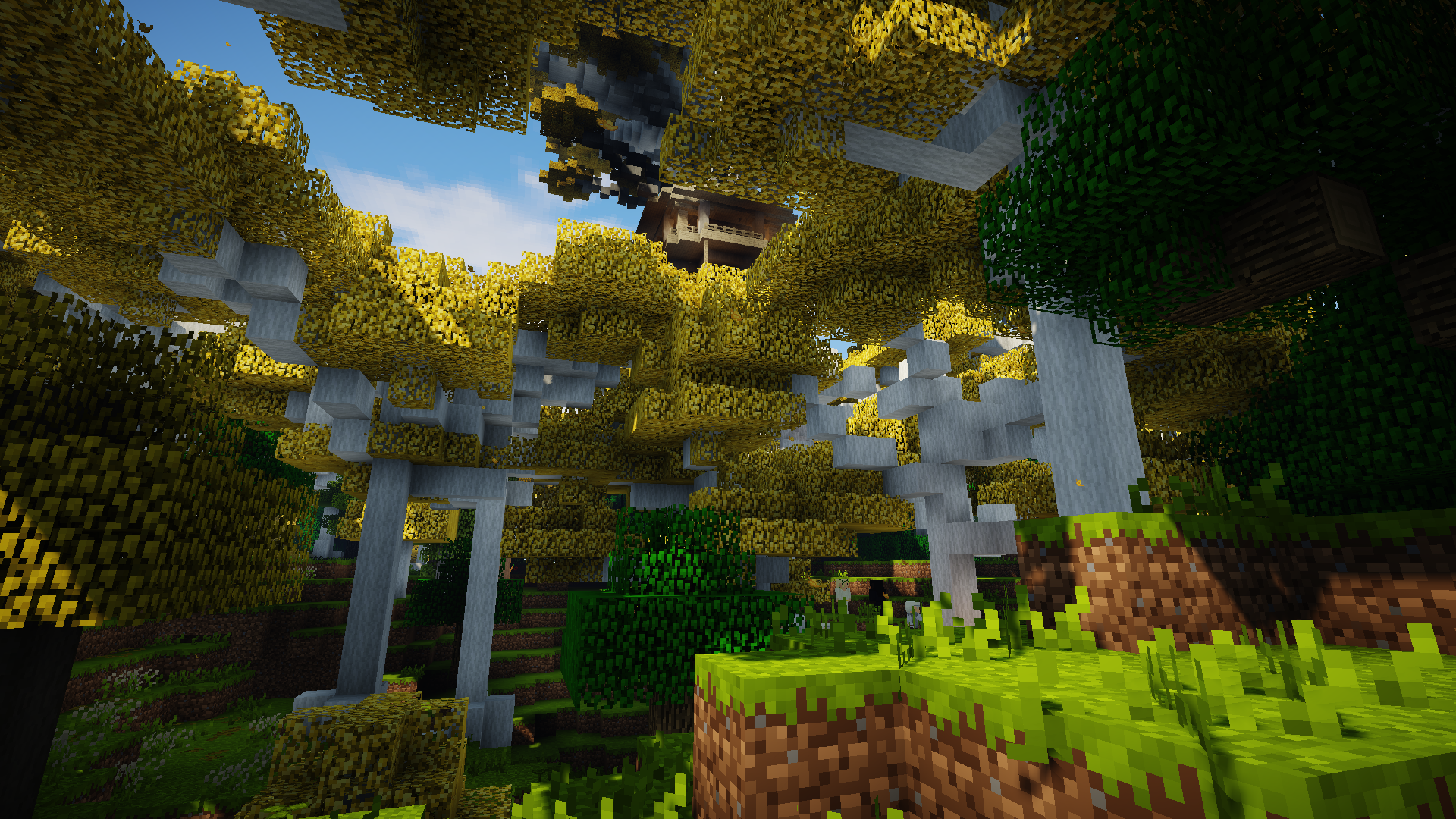 罗斯洛瑞恩之境