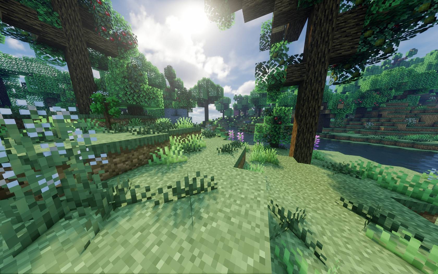 第二季 图片5.jpg