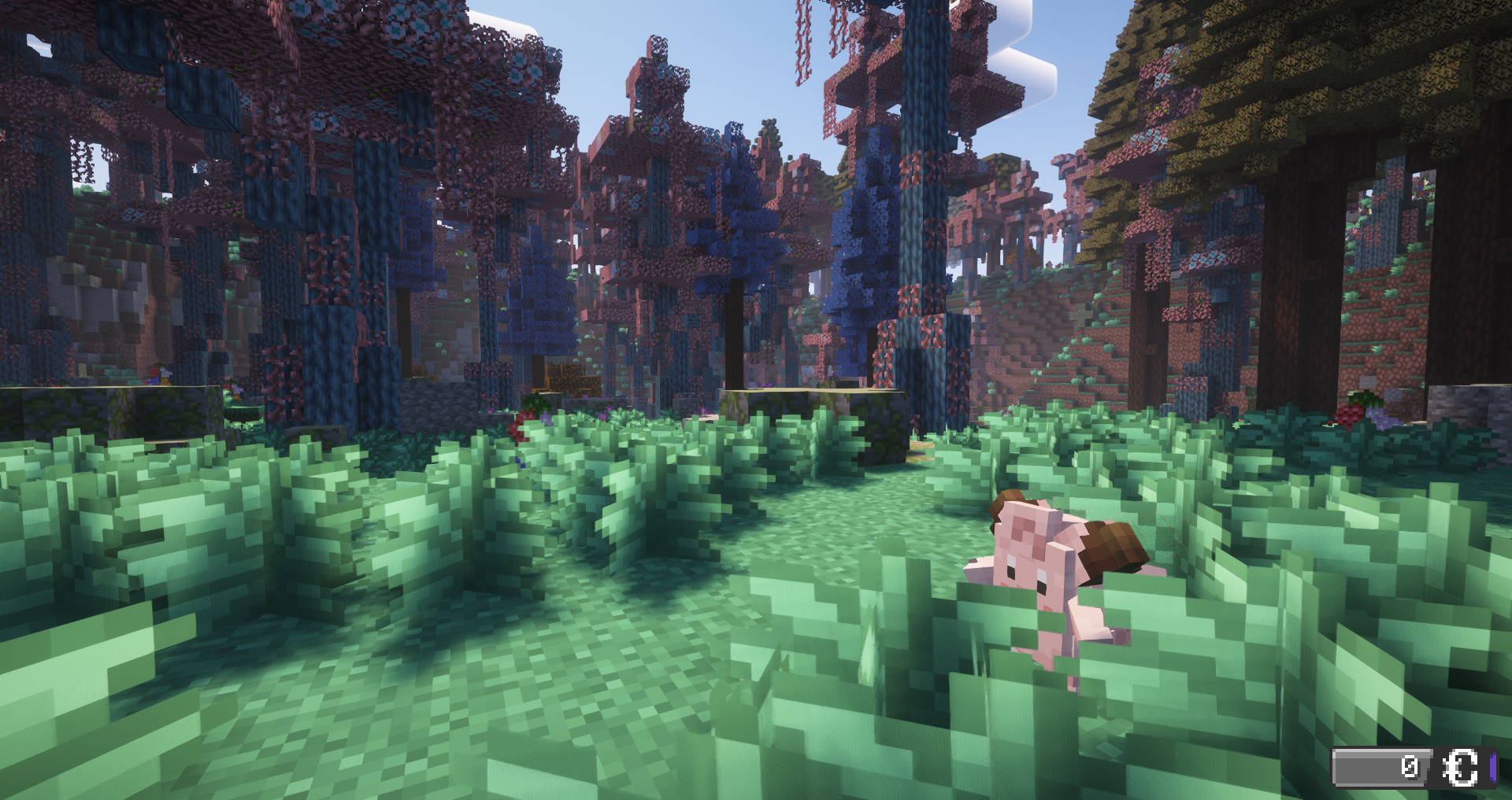 隐藏在 tall grass 中（tall grass 为 Minecraft 中的方块名称，...