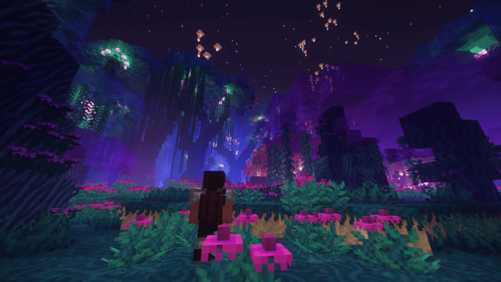 Sin tasasfadasdÁtulo (1).png