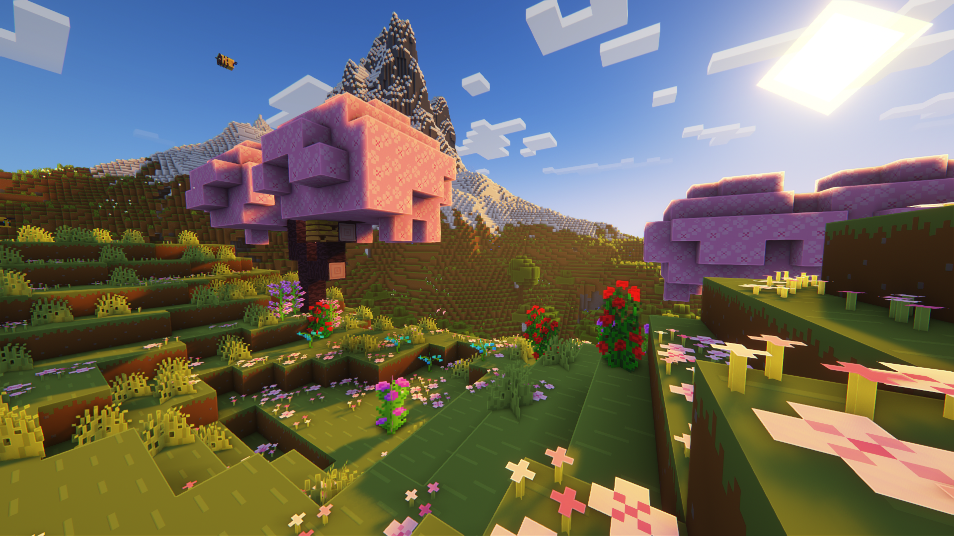 环境（Complementary Shaders）