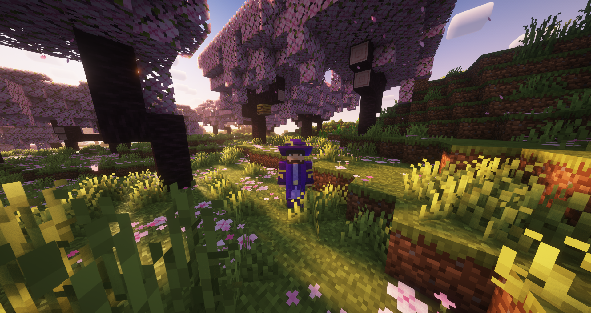 樱花树林生物群系