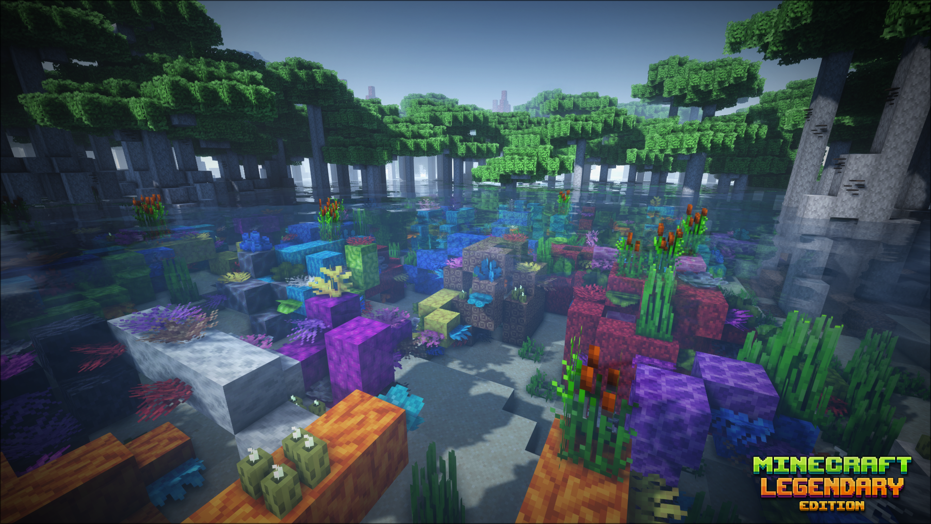 红树林附近的珊瑚生物群系