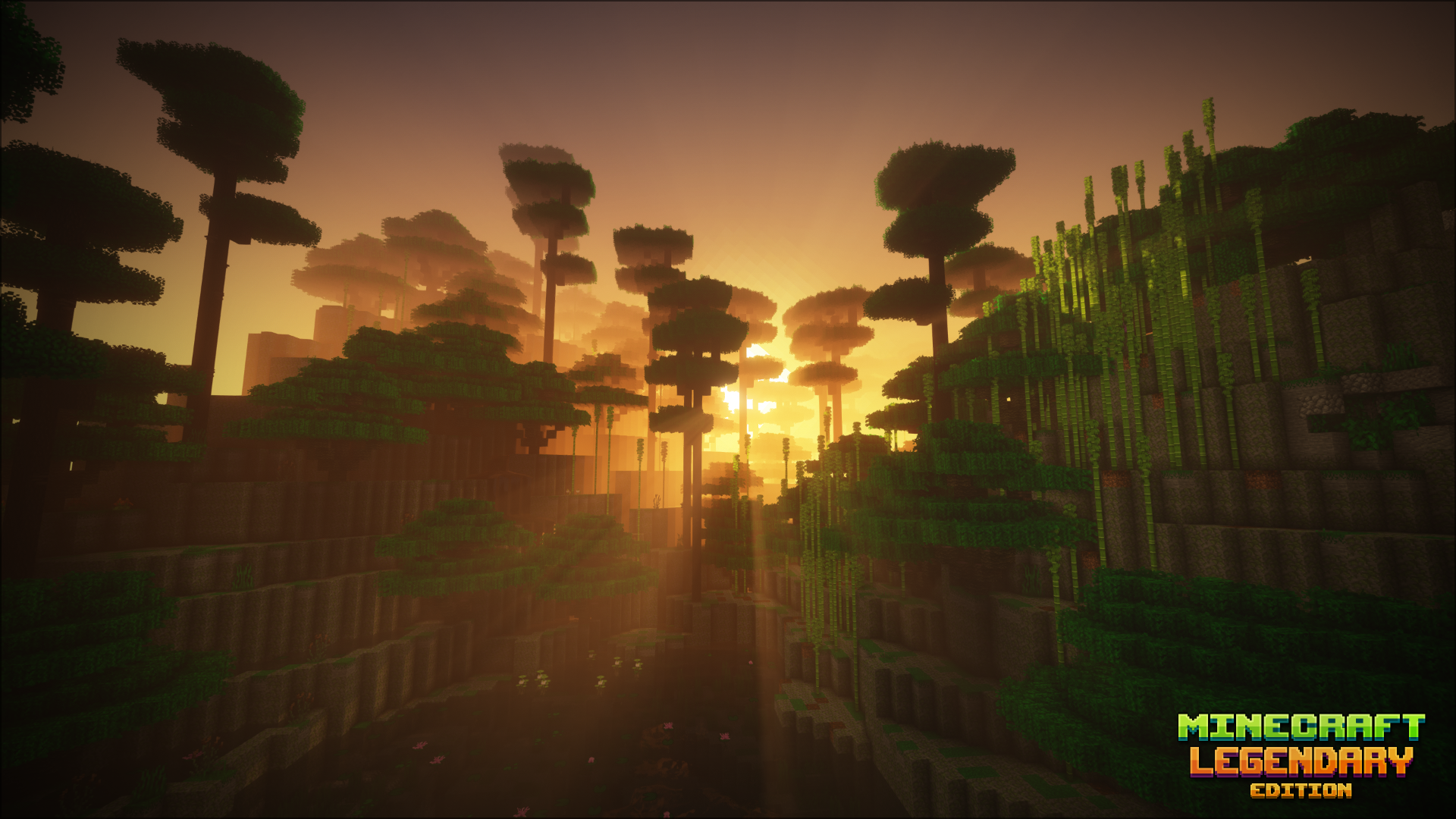 热带丛林生物群系