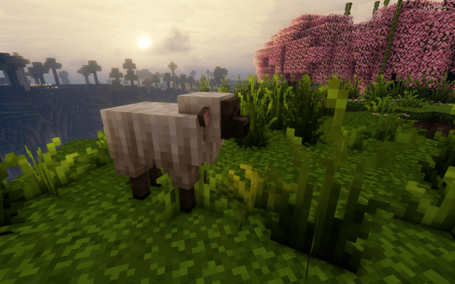 友好的当地人\n