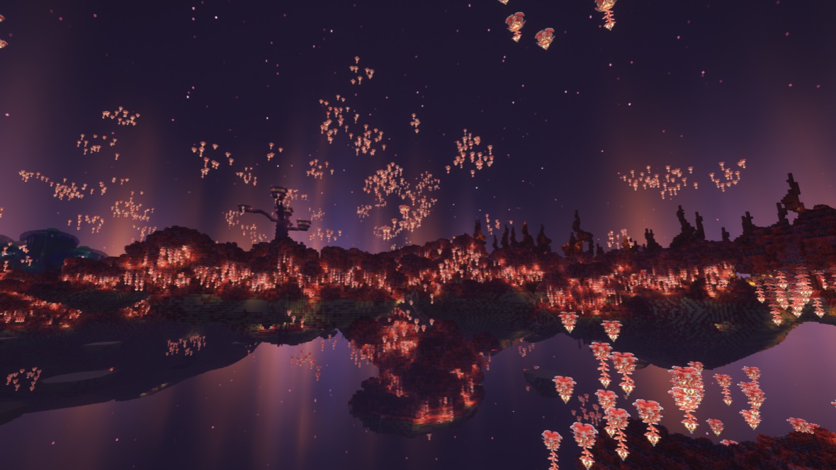 末地中的一个模组生物群系