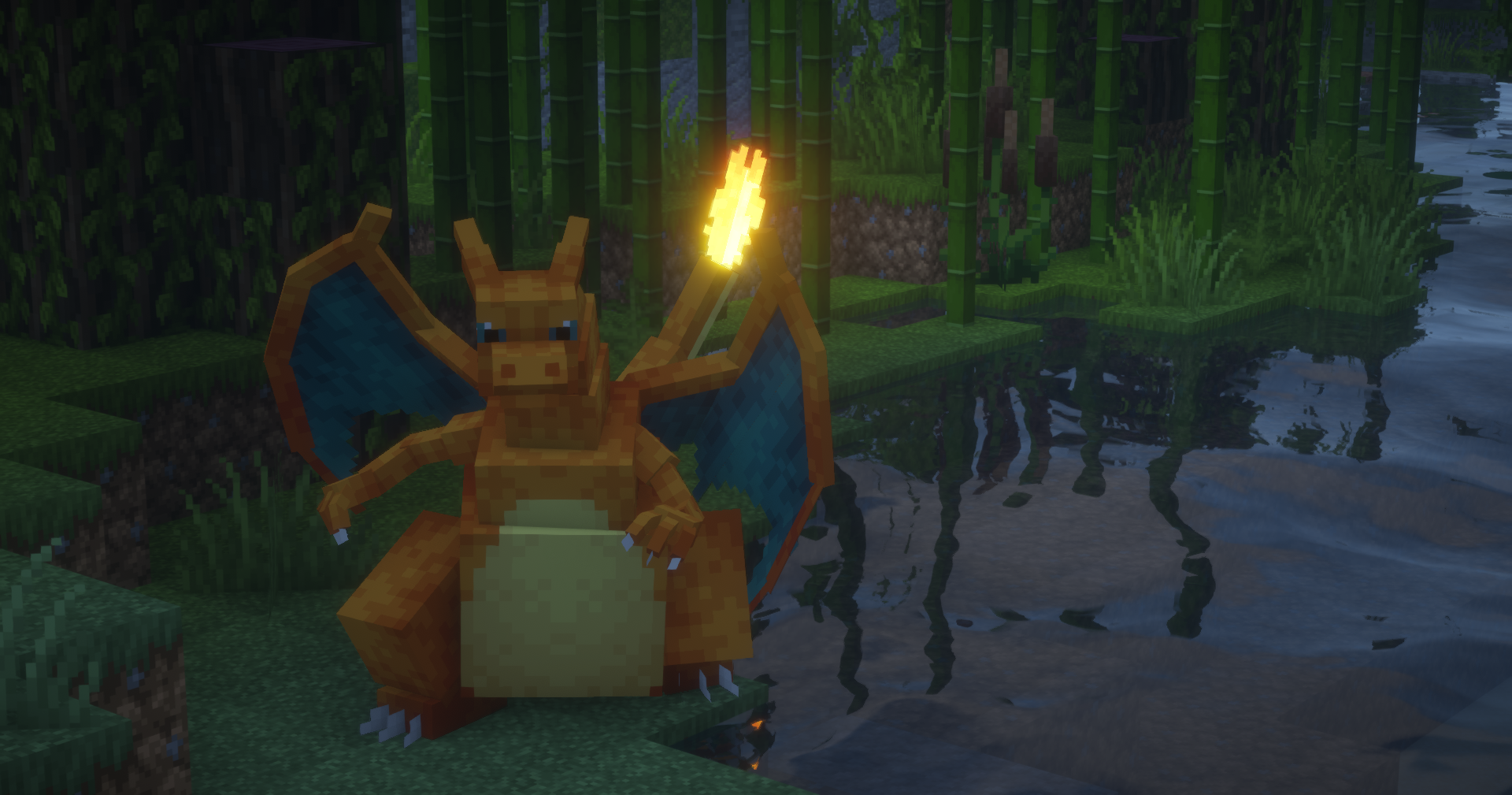 进化后的宝可梦