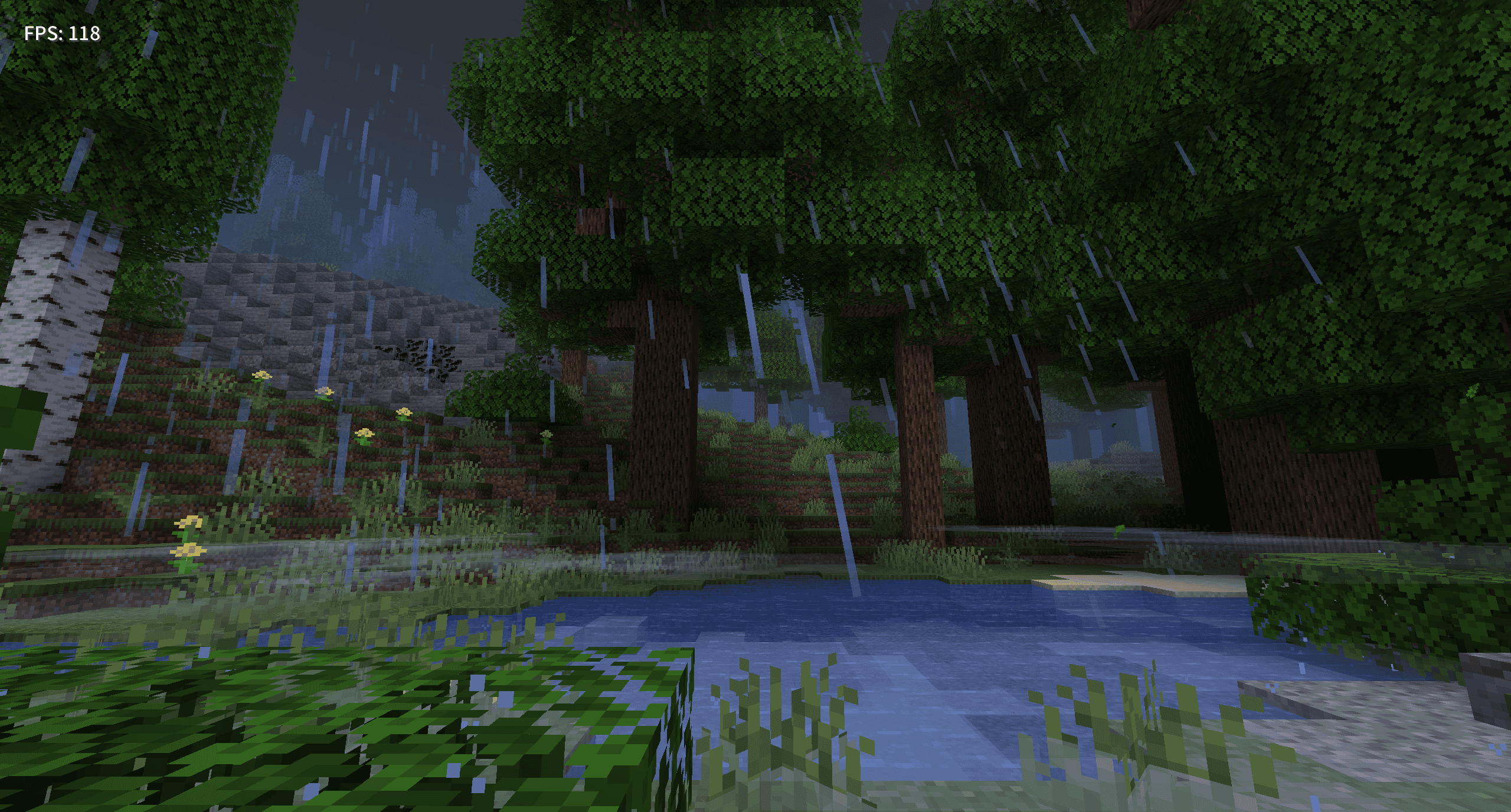 带有轻微雾气的林间水洼