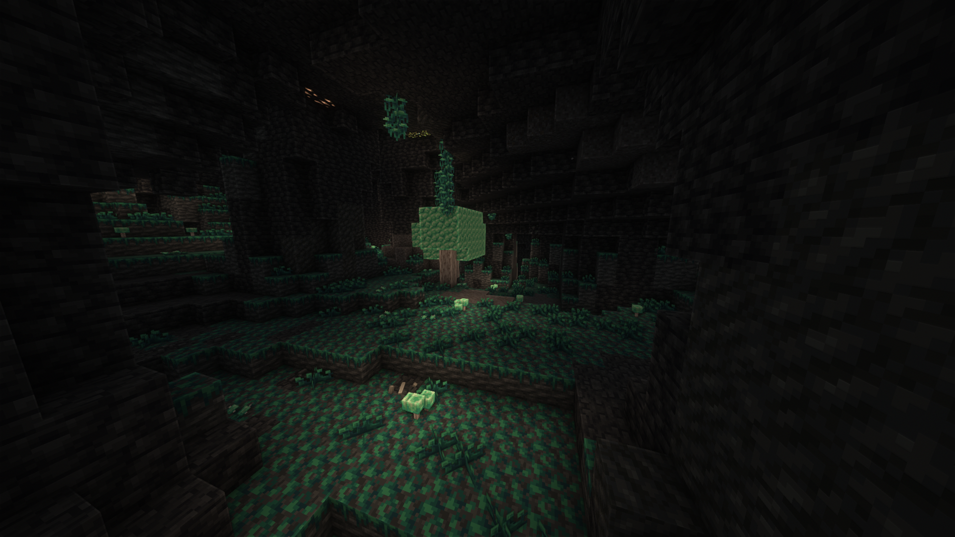 众多地下生物群系之一！