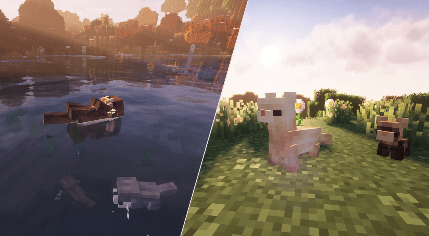 大量可爱的动物来填充你的世界！