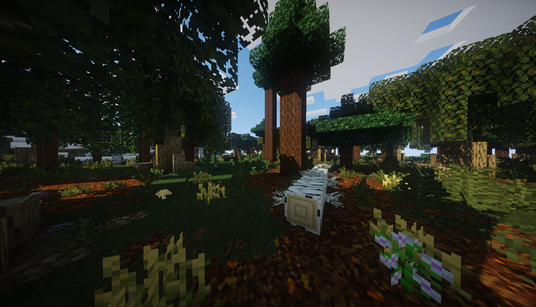 另一个地形生成示例