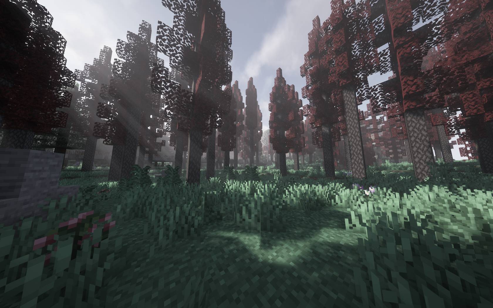 第二季 图片7.jpg