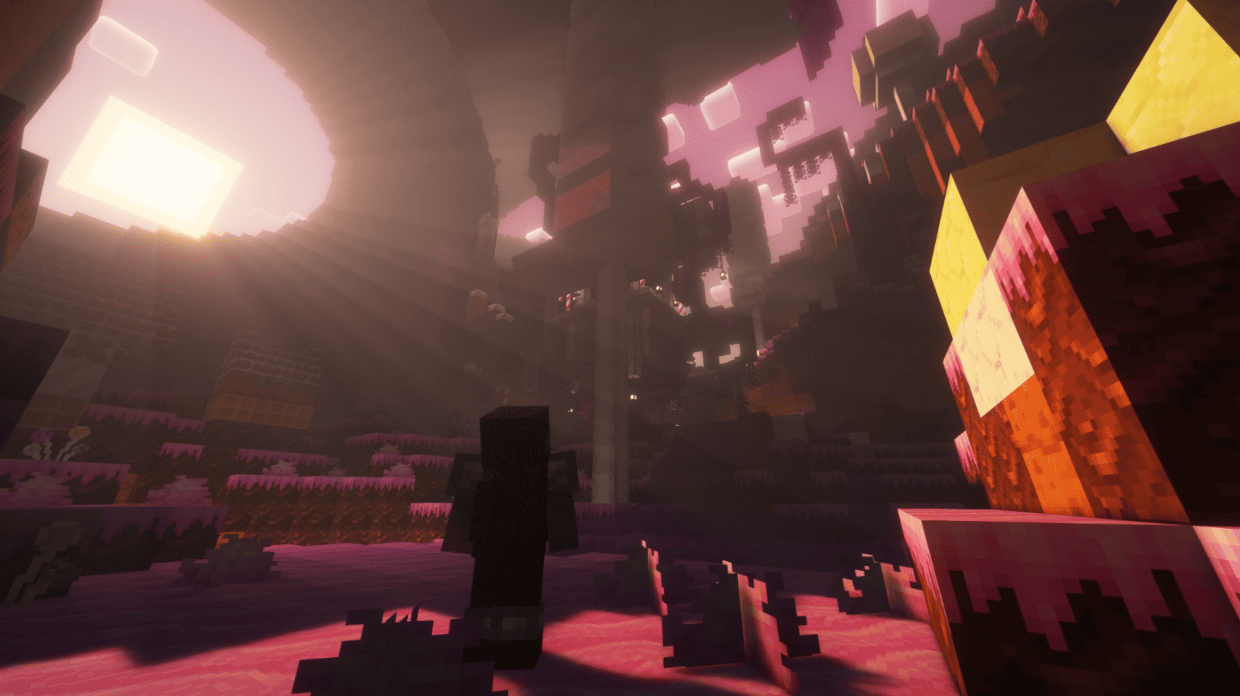 Sin tÃ­tulo (1).png