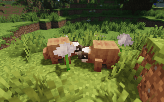 小型生物（暂定）