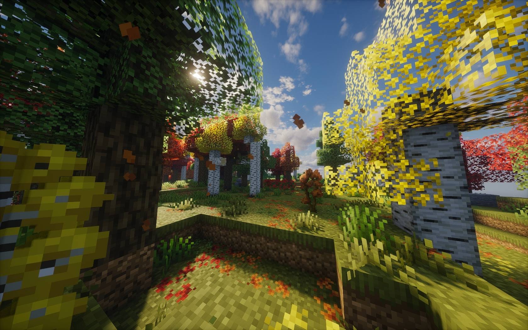 第二季 图片10.jpg