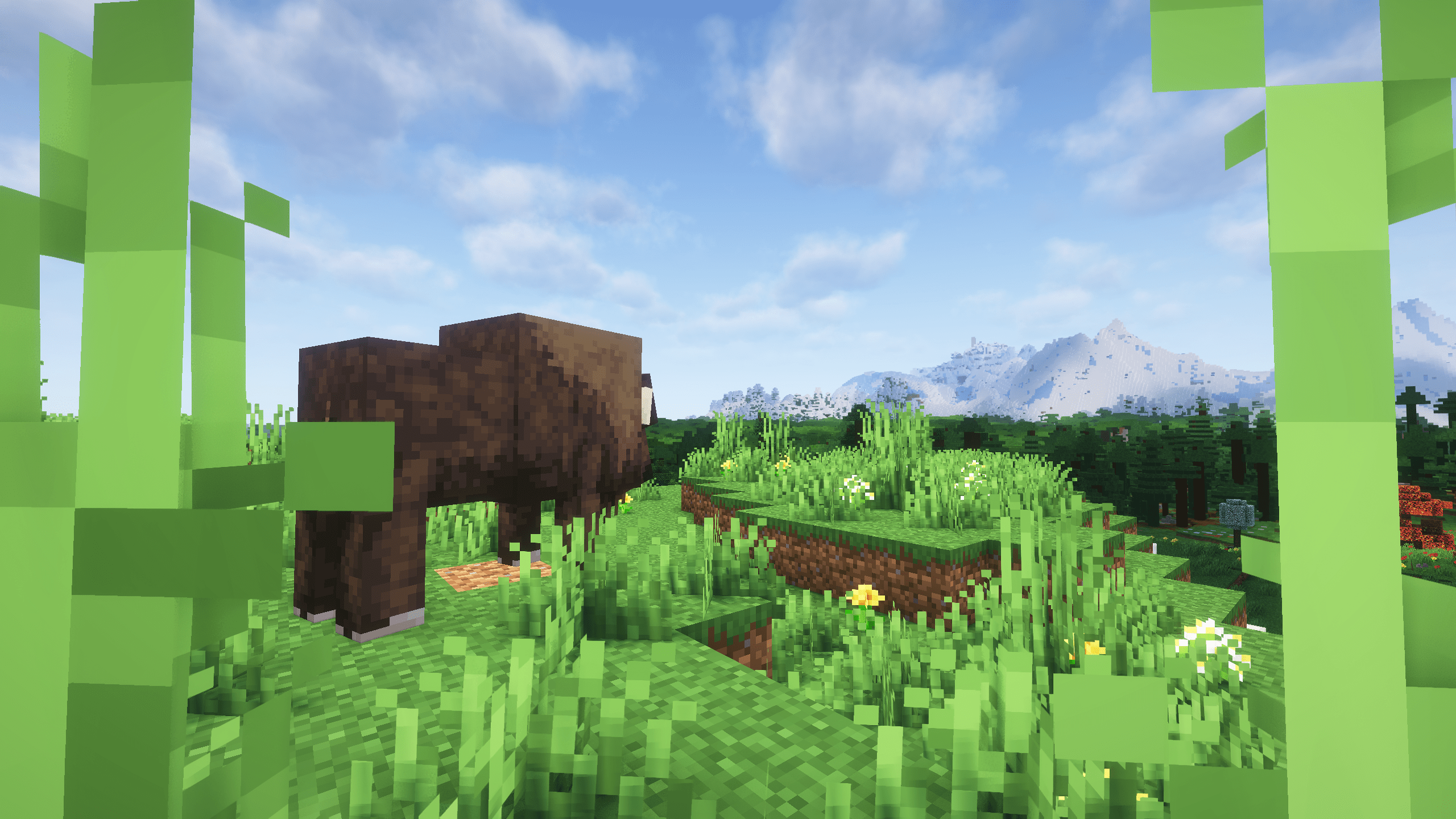 平原上的野生动物