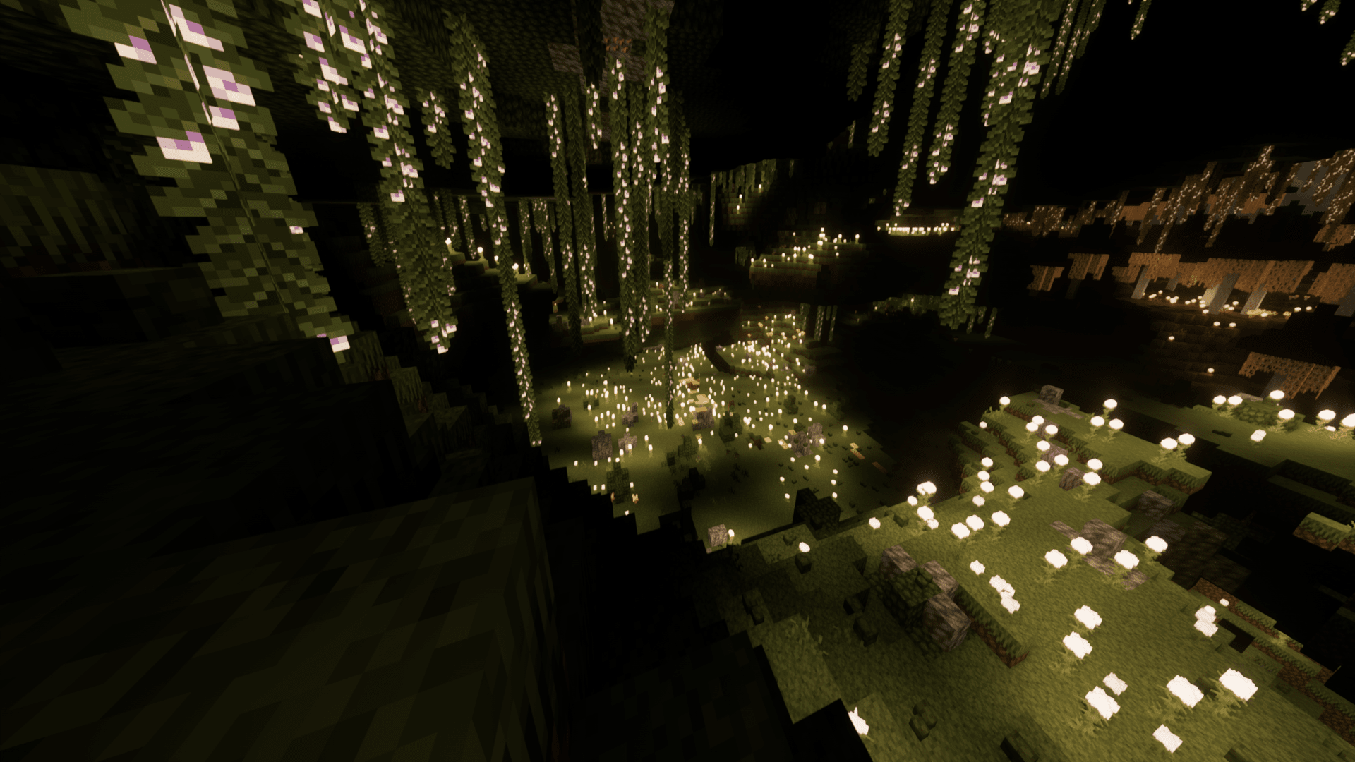 我用我的小眼睛发现了...