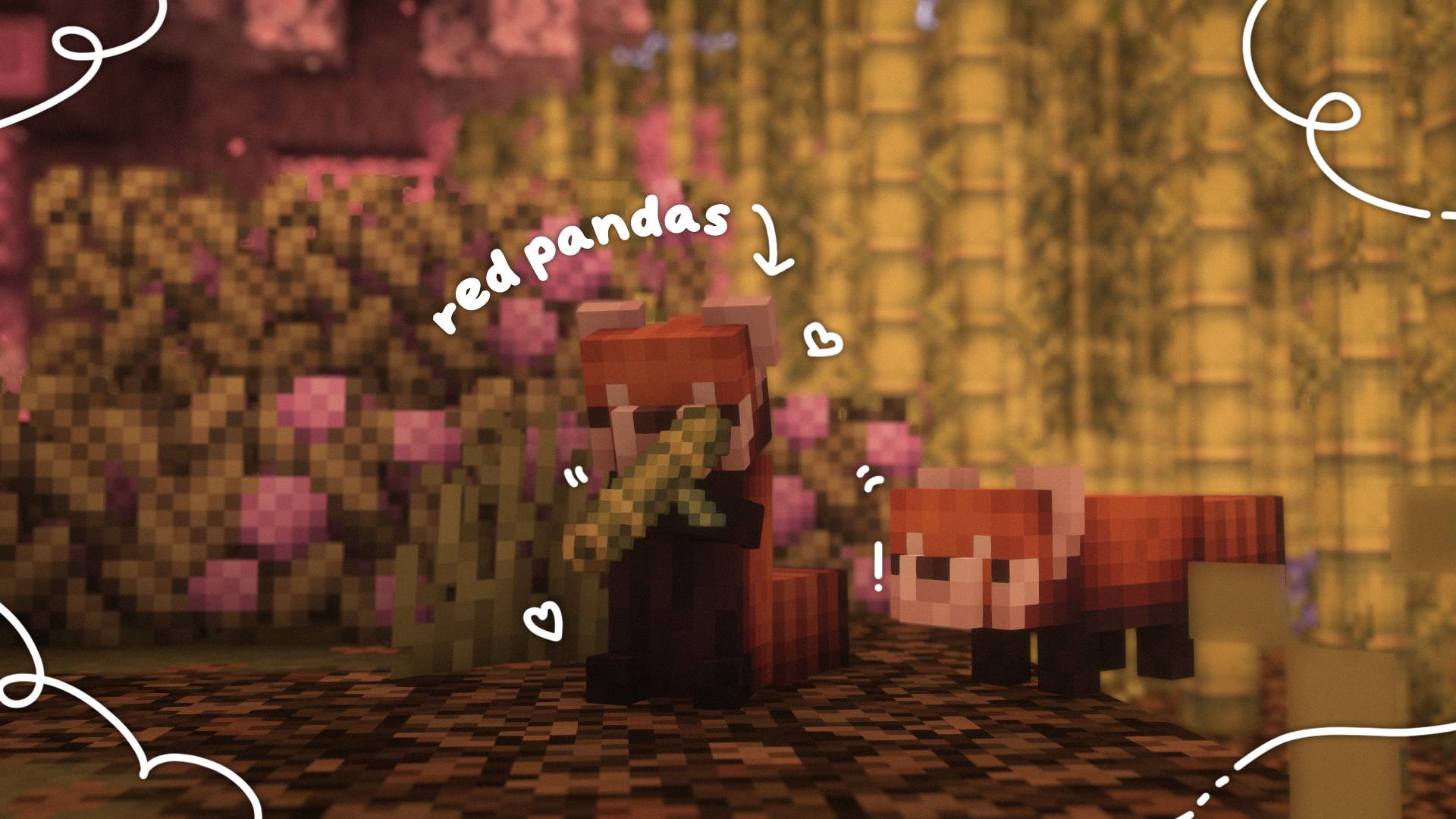 red pandas.jpg