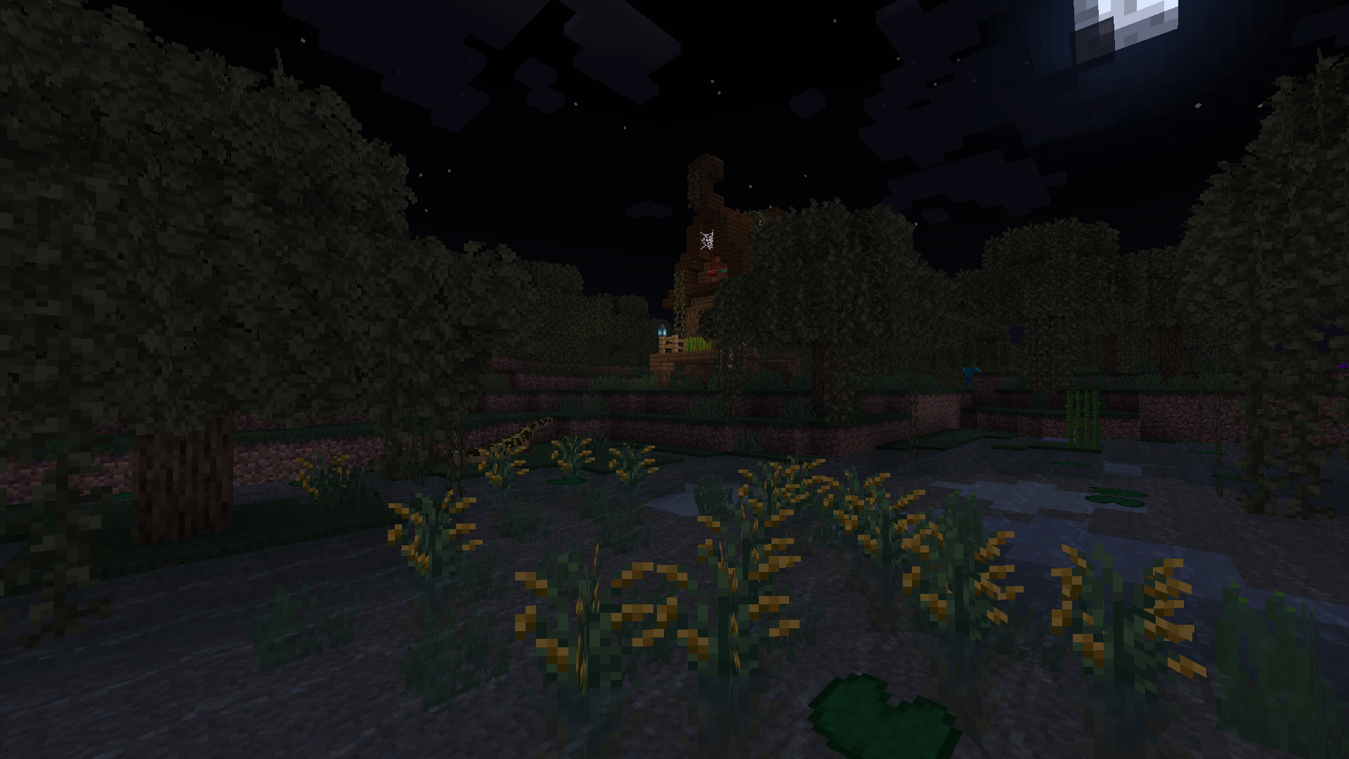 一座女巫小屋，她会欢迎我在此过夜吗？