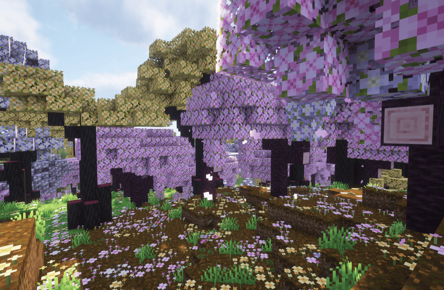 一个等待探索的美丽世界