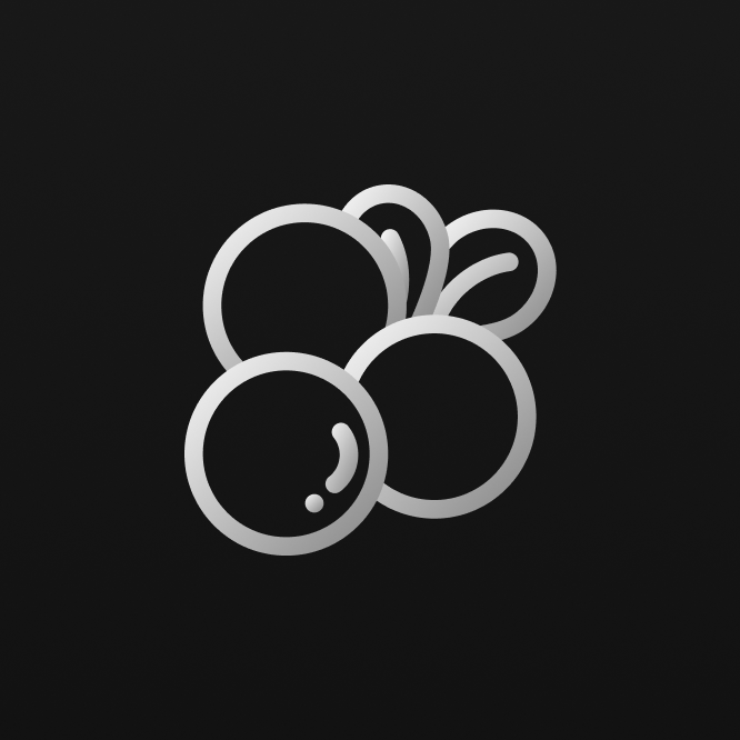 狸莓 CivetBerry Minecraft 服务器内容开发工作组